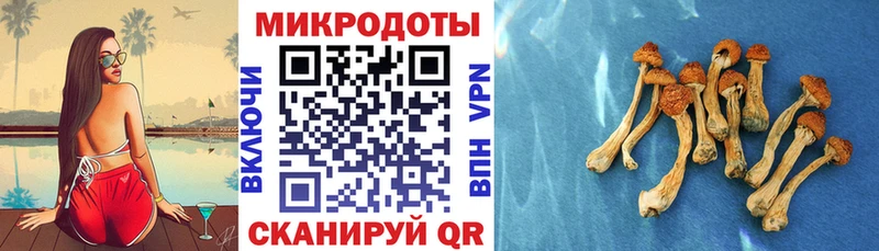 Псилоцибиновые грибы прущие грибы Горно-Алтайск