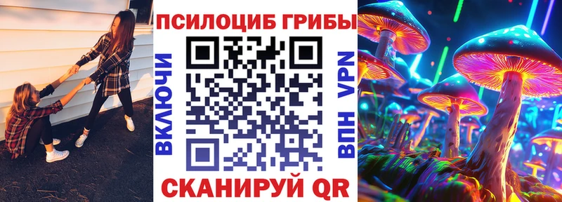 Псилоцибиновые грибы мицелий  Купить  Горно-Алтайск 