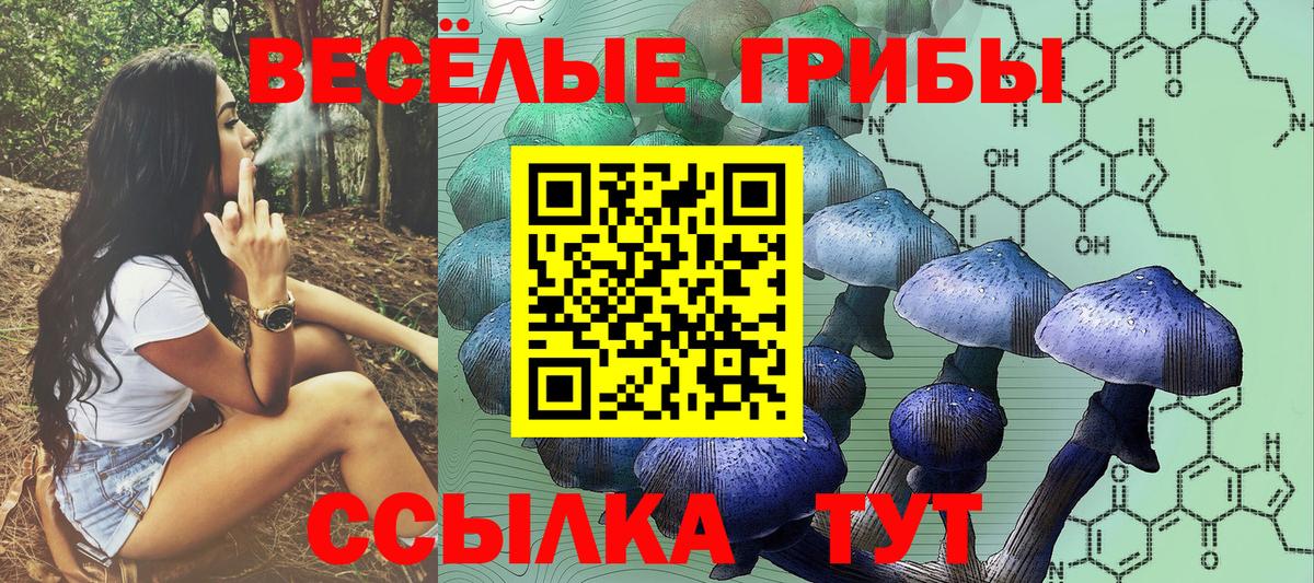 Псилоцибиновые грибы GOLDEN TEACHER  Вход с VPN  Горно-Алтайск  Псилоцибиновые грибы MAGIC MUSHROOMS 