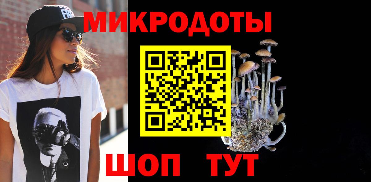 Псилоцибиновые грибы прущие грибы Горно-Алтайск