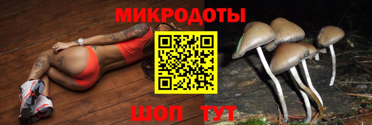 Галлюциногенные грибы Magic Shrooms  Галлюциногенные грибы мухоморы  купить  сайты  Горно-Алтайск 